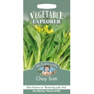 Seminte BRASSICA oleracea alboglabra-Herbs- Choy Sum -Varza asiatica