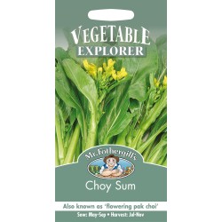 Seminte BRASSICA oleracea alboglabra-Herbs- Choy Sum - Varza asiatica Seminte BRASSICA oleracea alboglabra-Herbs- Choy Sum - Varza asiatica