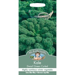 Seminte BRASSICA oleracea acephala-Kale- Dwarf Green Curled -Varza de frunze, verde Seminte BRASSICA oleracea acephala-Kale- Dwarf Green Curled -Varza de frunze, verde