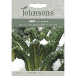 Seminte BRASSICA oleracea acephala-Kale- Black Magic -Varza de frunze, neagra, rezistenta la ger