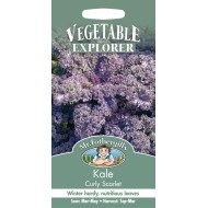 Seminte BRASSICA oleracea acephala-Kale- Scarlet -Varza de frunze, mov