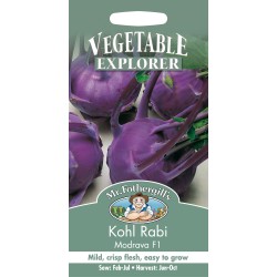 Seminte BRASSICA oleracea gongylodes-Kohl Rabi- Mondrava F1 -Gulie mov Seminte BRASSICA oleracea gongylodes-Kohl Rabi- Mondrava F1 -Gulie mov