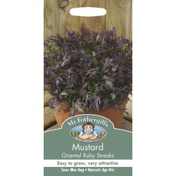 Seminte BRASSICA juncea-Mustard Oriental- Ruby Streaks -Mustar oriental Seminte BRASSICA juncea-Mustard Oriental- Ruby Streaks -Mustar oriental