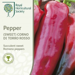 Seminte CAPSICUM annuum-Sweet Pepper-Corno di Torro Rosso - Ardei capia rosu 