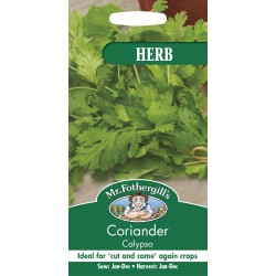 Seminte CORIANDRUM sativum-Herbs Coriander- Calypso -Coriandru de frunze Seminte CORIANDRUM sativum-Herbs Coriander- Calypso -Coriandru de frunze
