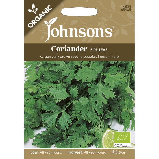 Seminte CORIANDRUM sativum-Herbs Coriander- Cilantro for leaf ORG -Coriandru de frunze