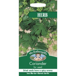 Seminte CORIANDRUM sativum-Herbs Coriander- for seeds -Coriandru de seminte