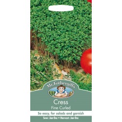 Seminte CRESSON lepidium sativum-Herbs Cress- Fine Curled -Creson