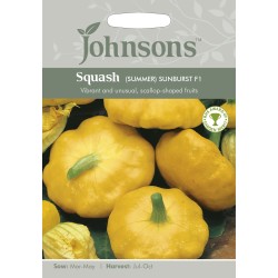 Seminte CUCURBITA pepo-Squash Summer- Sunburst F1 -Dovlecel pattison Seminte CUCURBITA pepo-Squash Summer- Sunburst F1 -Dovlecel pattison