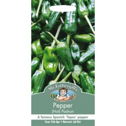 Seminte CAPSICUM annuum-Hot Pepper-Padron - Ardei iute