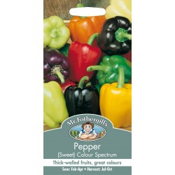 Seminte CAPSICUM annuum-Pepper Sweet- Colour Spectrum -Ardei gras amestec