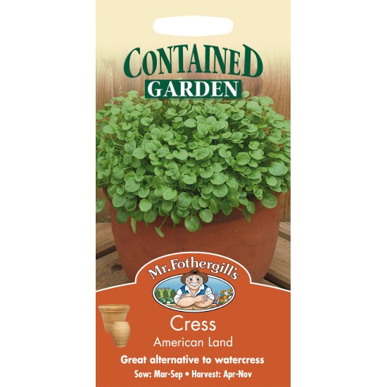 Seminte CRESSON barbarea verna-Herbs Cress- American Land -Creson de iarna