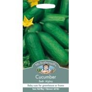 Seminte CUCUMIS sativus-Cucumber- Beth Alpha -Castraveti cornison, de sera Seminte CUCUMIS sativus-Cucumber- Beth Alpha -Castraveti cornison, de sera