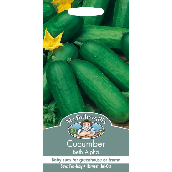 Seminte CUCUMIS sativus-Cucumber- Beth Alpha -Castraveti cornison, de sera