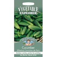 Seminte CUCUMIS sativus-Cucumber Gherkin- Cornichon de Paris -Castraveti cornișon, de sera si afara