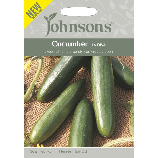 Seminte CUCUMIS sativus-Cucumber- La Diva -Castraveti rezistenti la frig, pt afara Seminte CUCUMIS sativus-Cucumber- La Diva -Castraveti rezistenti la frig, pt afara