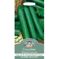 Seminte CUCUMIS sativus-Cucumber- Telegraph Imp. -Castraveti lungi, de sera
