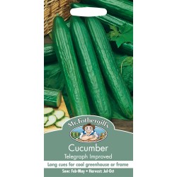 Seminte CUCUMIS sativus-Cucumber- Telegraph Imp. -Castraveti lungi, de sera