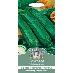 Seminte CUCURBITA pepo-Courgette-  All Green Bush -Dovlecel tufa
