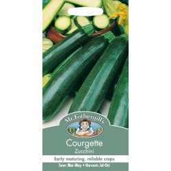 Seminte CUCURBITA pepo-Courgette- Zucchini -Dovlecel zucchini, verde intens
