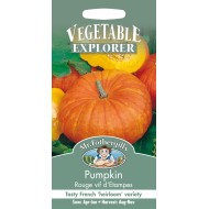 Seminte CUCURBITA pepo-Pumpkin maxima- Rouge Vif D Etampes -Dovleac de placinta, dulce, soi vechi frantuzesc