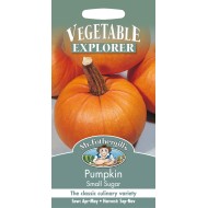Seminte CUCURBITA pepo-Pumpkin- Small Sugar -Dovleac de placinta, dulce -fructe de 1,5-2 kg