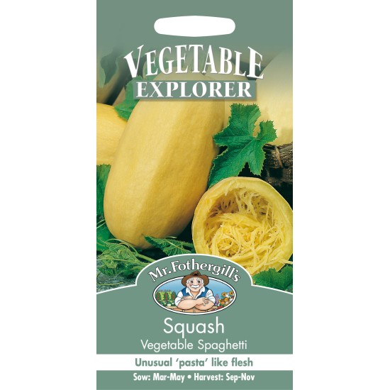 Seminte CUCURBITA pepo-Squash- Vegetable Spaghetti -Dovlecel Spaghetti