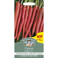 Seminte DAUCUS carota-Carrot-Malbec F1-Morcov rosu