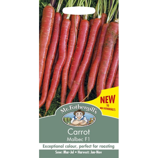 Seminte DAUCUS carota-Carrot- Malbec F1 -Morcov rosu