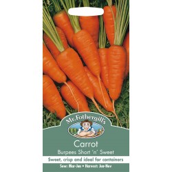 Seminte DAUCUS carota-Carrot- Burpees Short'n Sweet -Morcov dulce, pentru soluri sarace