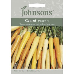 Seminte DAUCUS carota-Carrot- Rainbow F1 -Morcovi albi, galbeni, portocalii