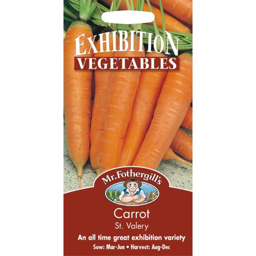 Seminte DAUCUS-Carrot- carota St Valery - Morcov foarte productiv
