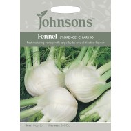 Seminte FOENICULUM vulgare-Herbs Fennel- (Florence) Chiarino -Fenicul de capatana timpuriu