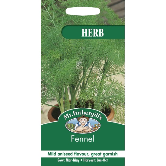 Seminte FOENICULUM vulgare-Herbs- Fennel -Fenicul de frunze