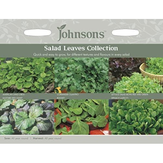 Seminte MIXED Collection- EASY Salad Leaves (cu: valerianela, mizuna, creson, mustar, salata si rucola)