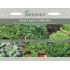 Seminte MIXED Collection- EASY Salad Leaves (cu: valerianela, mizuna, creson, mustar, salata si rucola)
