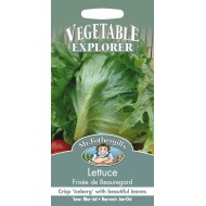 Seminte LACTUCA sativa-Lettuce- Frisee de Beauregard -Salata-căpățână tip iceberg, soi vechi frantuzesc