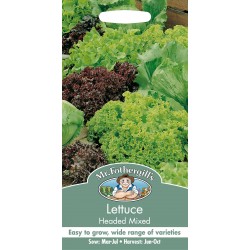 Seminte LACTUCA sativa-Lettuce- Headed Mixed -Salata de căpățână, amestec de soiuri