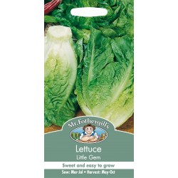 Seminte LACTUCA sativa-Lettuce-Little Gem - Salata semi Cos mica