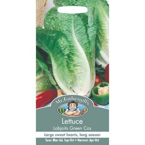 Seminte LACTUCA sativa-Lettuce-Lobjoits Green Cos - Salata tip Cos