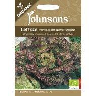 Seminte LACTUCA sativa-Lettuce- Merveille des Quatre Saisons ORG -Salata-căpățână tip Butterhead, verde cu bordura rosie (seminte organice) Seminte LACTUCA sativa-Lettuce- Merveille des Quatre Saisons ORG -Salata-căpățână tip Butterhead, verde cu bordura rosie (seminte organice)