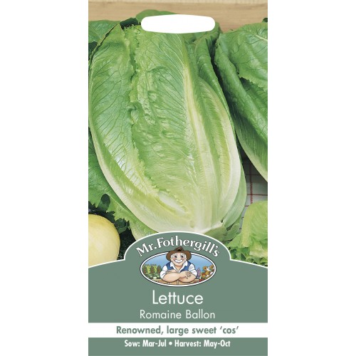 Seminte LACTUCA sativa-Lettuce- Romaine Ballon -Salata tip Cos, lunguiata