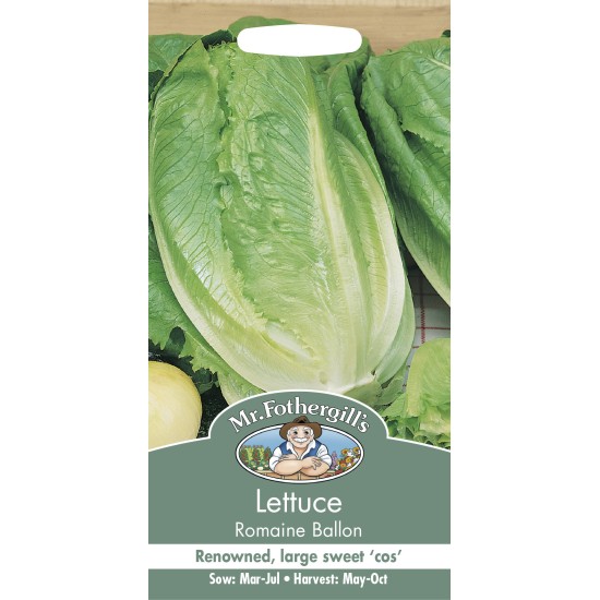 Seminte LACTUCA sativa-Lettuce- Romaine Ballon -Salata tip Cos-lunguiata
