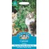Seminte NEPETA cataria- Catmint -Menta pisicii