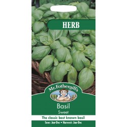 Seminte OCIMUM basilicum-Herbs Basil- Sweet (foth) -Busuioc clasic