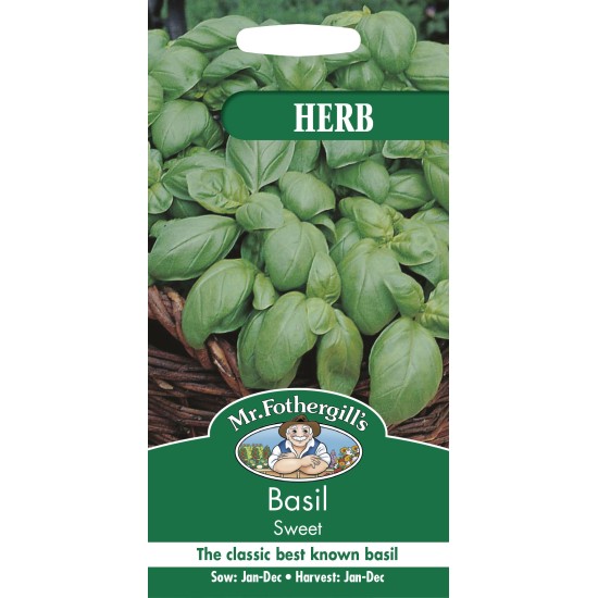 Seminte OCIMUM basilicum-Herbs Basil- Sweet -Busuioc clasic