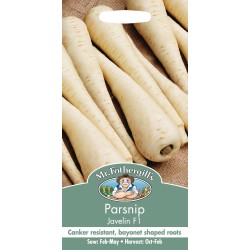 Seminte PASTINACA sativa-Parsnip- Javelin F1 - Pastarnac  Seminte PASTINACA sativa-Parsnip- Javelin F1 - Pastarnac