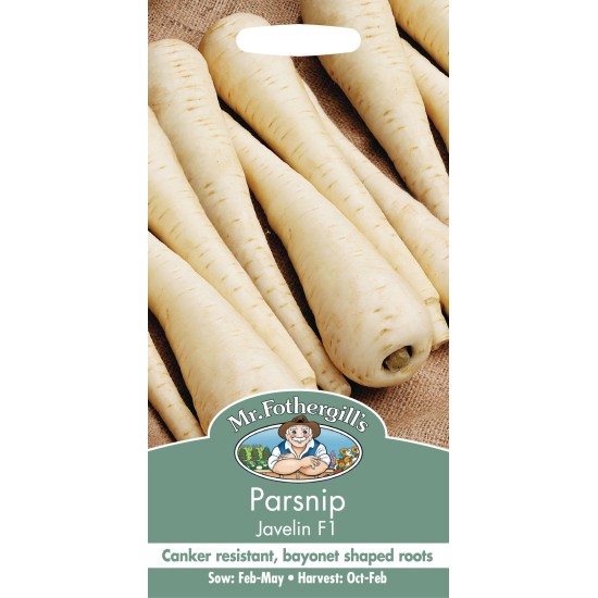 Seminte PASTINACA sativa-Parsnip- Javelin F1 - Pastarnac Seminte PASTINACA sativa-Parsnip- Javelin F1 - Pastarnac