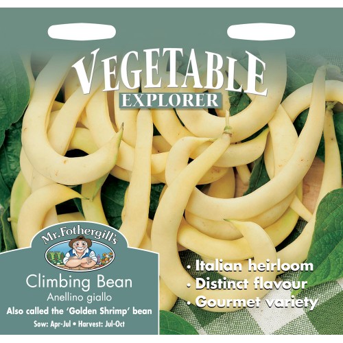 Seminte PHASEOLUS vulgaris-Clg Bean- Anellino Giallo - Fasole urcatoare cu pastai galbene, inelate