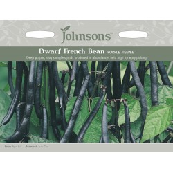 Seminte PHASEOLUS vulgaris-Dwarf Bean- Purple Teepee - Fasole pitica, fideluta, cu pastai negre